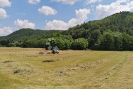 Žumberak, prostrano samoodrživo seosko imanje, 34000m2, Samobor - Okolica, Terrain