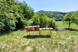 Žumberak, prostrano samoodrživo seosko imanje, 34000m2, Samobor - Okolica, Terrain