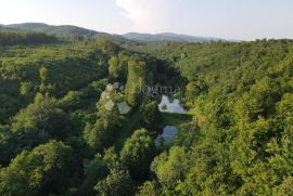 Ribnjaci Slavonija kod N.Gradiške, Cernik, Arazi