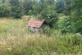 Kuća sa okućnicom u Vrbovskom, Vrbovsko, Kuća