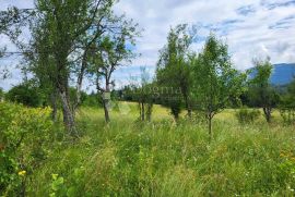 Kuća sa okućnicom u Vrbovskom, Vrbovsko, Haus