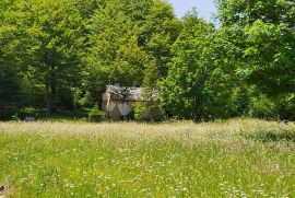 Netaknuta priroda, Vinodolska Općina, Terra