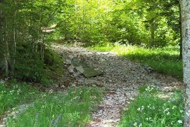 Netaknuta priroda, Vinodolska Općina, Terra