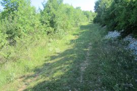 Prostrana poljoprivredna parcela, Marčana, Land