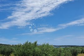 Poljoprivredno zemljište s velikim potencijalom, Medulin, Land