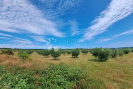 Poljoprivredno zemljište s velikim potencijalom, Medulin, Land