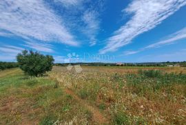 Poljoprivredno zemljište s velikim potencijalom, Medulin, Land