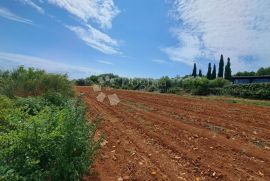 Poljoprivredno zemljište s velikim potencijalom, Medulin, Land