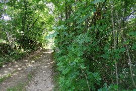 Saršoni - zemljište od 4000m2, Viškovo, Land