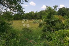 Građevinsko zemljište na uzvišenom platou, Barban, Terrain