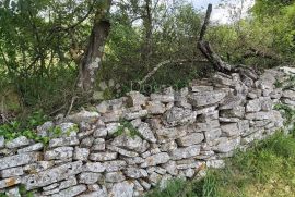 Građevinsko zemljište na uzvišenom platou, Barban, Terrain