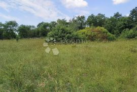 Građevinsko zemljište na uzvišenom platou, Barban, Land