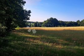 Poljoprivredno zemljište - Izvrsna investicija!, Barban, Land