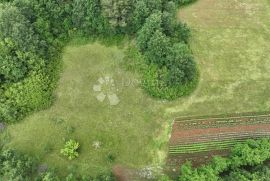 Prostrano zemljište smješteno na osami, Barban, Zemljište