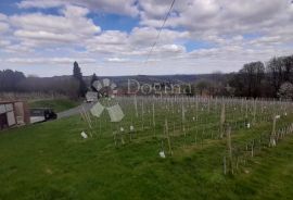 ŽELEZNA GORA STAN I PODRUM S OPREMOM ZA VINOGRADARSTVO, Štrigova, Maison