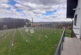 ŽELEZNA GORA STAN I PODRUM S OPREMOM ZA VINOGRADARSTVO, Štrigova, Maison