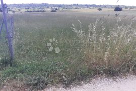 Bibinje- Poljoprivredno zemljište, Bibinje, Terreno