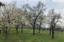 Vučedol kuća i gospodarska zgrada 140 m2, Vukovar, بيت