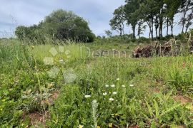 LOBORIKA- poljoprivredno zemljište sa pristupnim putem, Marčana, Land