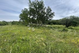 Poljoprivredno zemljište u predivnom zelenilu, Marčana, Land