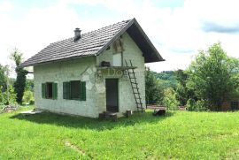 Krapinske Toplice, potencijalna bajka na vrhu brda, Krapinske Toplice, House