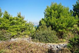 POLJOPRIVREDNO ZEMLJIŠTE KOTLINA, OTOK BRAČ, Selca, Земля