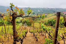 Stara kurija s dodatnom parcelom, Gornji Kneginec, Famiglia