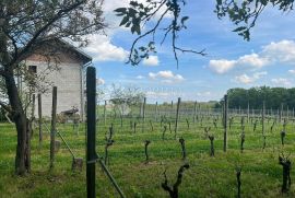 Vinograd sa vikendicom na odličnoj poziciji, Križevci, Zemljište