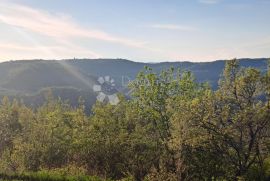 Poljoprivredna zemljišta u Račiškom Brijegu, Buzet, Zemljište