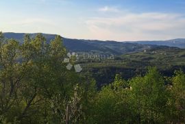 Poljoprivredna zemljišta u Račiškom Brijegu, Buzet, Zemljište