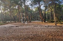 Poljoprivredno Zemljište u srcu Malog Lošinja, Mali Lošinj, Land