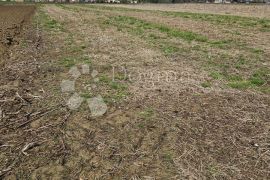 Veliko poljoprivredno zemljište, Gornji Kneginec, Zemljište