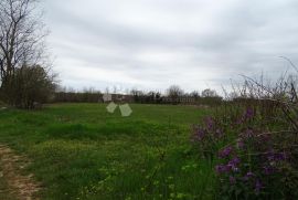 Žužići, Istra - teren 960m2 za villu, obiteljsku kuću, Tinjan, Terra