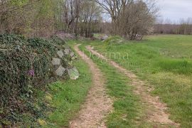 Žužići, Istra - teren 1025m2 za villu, obiteljsku kuću, Tinjan, Terrain