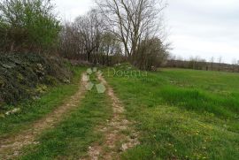 Žužići, Istra - teren 1025m2 za villu, obiteljsku kuću, Tinjan, Γη