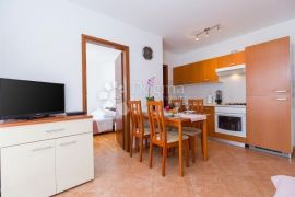 SNIŽENA CIJENA!! PREDIVAN STAN U NOVIGRADU, Novigrad, Apartamento