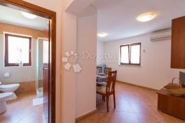 SNIŽENA CIJENA!! PREDIVAN STAN U NOVIGRADU, Novigrad, Appartement