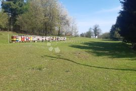 Građevinski teren, šuma i pašnjak na jezeru Sabljaci, Ogulin, Ogulin, Terreno