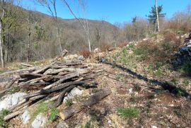 Opatija, Bregi, građevinsko zemljište sa idejnim projektom, Matulji, Land