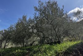 Pelješac, Građevinsko zemljište Trpanj, Trpanj, أرض