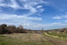 Prostrano zemljište s pomoćnim objektom, Buje, Land