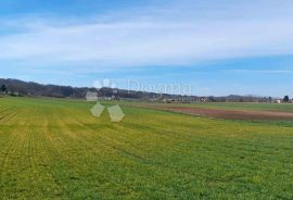 GRAĐEVINSKO I VELIKO POLJOPRIVREDNO ZEMLJIŠTE JALŽABET, Jalžabet, Terrain