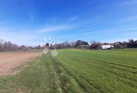 GRAĐEVINSKO I VELIKO POLJOPRIVREDNO ZEMLJIŠTE JALŽABET, Jalžabet, Terrain