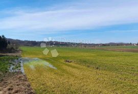 GRAĐEVINSKO I VELIKO POLJOPRIVREDNO ZEMLJIŠTE JALŽABET, Jalžabet, Terrain