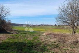 GRAĐEVINSKO I VELIKO POLJOPRIVREDNO ZEMLJIŠTE JALŽABET, Jalžabet, Terrain