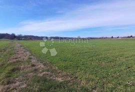 GRAĐEVINSKO I VELIKO POLJOPRIVREDNO ZEMLJIŠTE JALŽABET, Jalžabet, Terrain