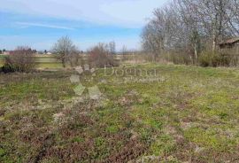 GRAĐEVINSKO I VELIKO POLJOPRIVREDNO ZEMLJIŠTE JALŽABET, Jalžabet, Terrain