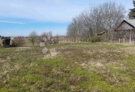 GRAĐEVINSKO I VELIKO POLJOPRIVREDNO ZEMLJIŠTE JALŽABET, Jalžabet, Terrain