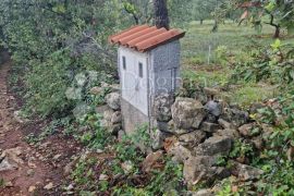 ZEMLJIŠTE PRED URBANIZACIJU U BLIZINA MORA, Marčana, Land