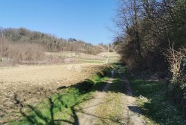 Veliko Trgovišće, rodajemo kvalitetno poljoprivredno zemljište, Veliko Trgovišće, Zemljište